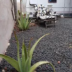 Daire 